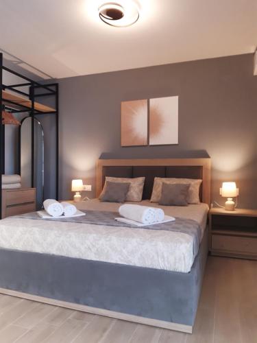 a bedroom with a large bed with two white pillows at Studio Wilem in Sarti