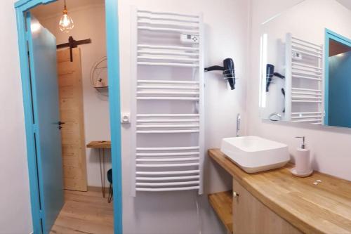 une salle de bain avec un lavabo et un miroir dans l'établissement Paul Janet, à Grenoble