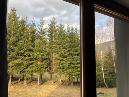 a window with a view of a forest of trees at Apartmán Ramzová Kometa in Ostružná