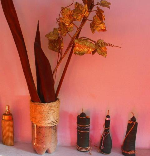 a vase with a plant in it on a shelf at Eco Hotel El Refugio Boutique in Leticia