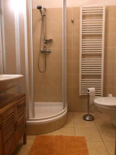 a bathroom with a shower and a toilet and a sink at Apartmán Ramzová Kometa in Ostružná