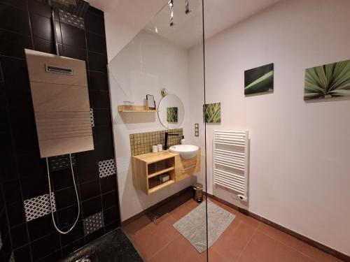 uma casa de banho com um chuveiro, um lavatório e um espelho. em Domaine Ecoline em Sadirac