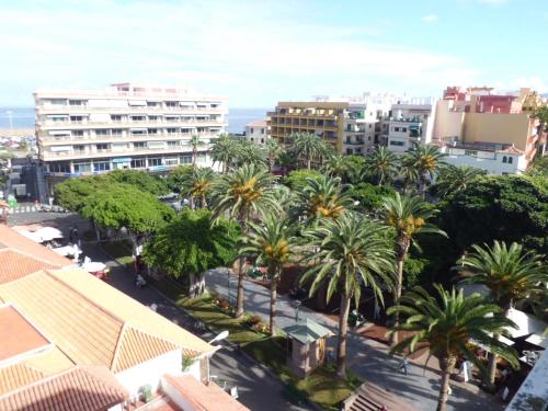 a view of a city with palm trees and buildings at Hotel Tropical in Puerto de la Cruz