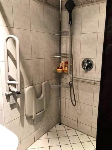 eine Dusche mit Urinal im Bad in der Unterkunft Apartment „La Casa de Papel“ / Behindertengerecht in Leipzig