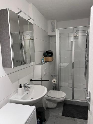 a bathroom with a shower and a sink and a toilet at Zentral gelegenes Apartment - DSL, Küche, Balkon, Parkplatz in Lüdenscheid