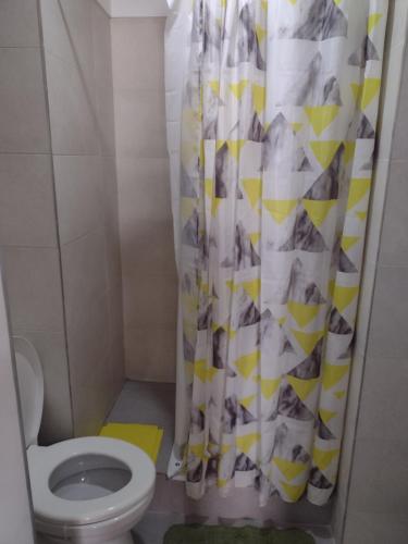 y baño con aseo y cortina de ducha. en DEPARTAMENTO METRO E en Buenos Aires