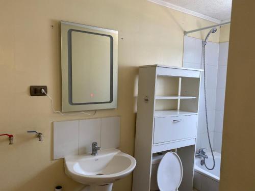 ein Badezimmer mit einem Waschbecken, einem Spiegel und einem WC in der Unterkunft Encantadora casa particular con vista al parque in Linares