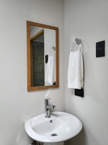 a bathroom with a white sink and a mirror at Casa del Café - Loft in Heredia