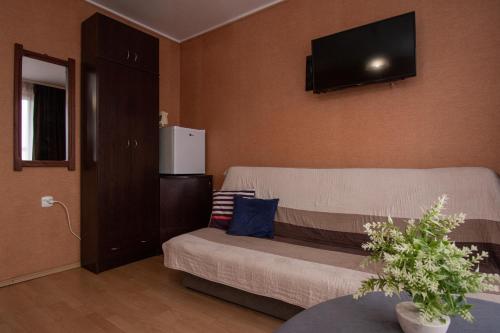 a living room with a couch and a flat screen tv at ADA - pokoje gościnne in Łeba