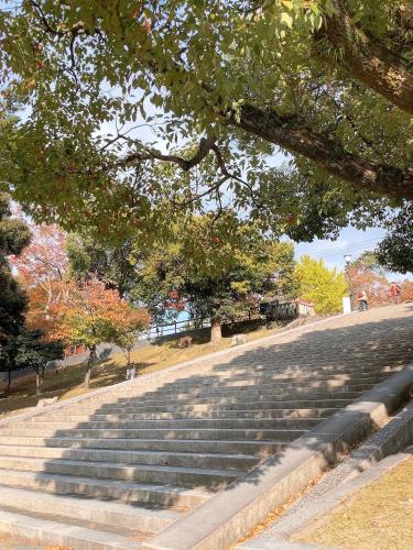 a set of stairs in a park with trees at Ryokan Kousen Kazeya Group in Nara