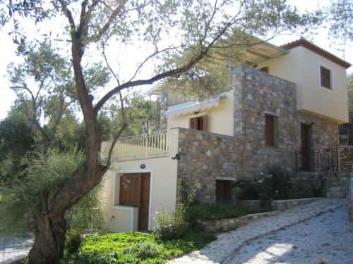 Gallery image of Gera's Olive Grove - Elaionas Lesvou in Perama