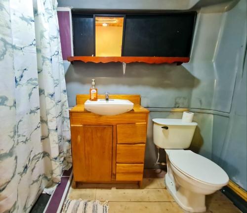 a bathroom with a toilet and a sink at Hospedaje Combi dream bird in Guanacaste