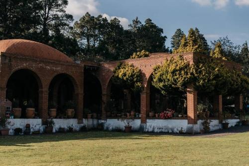 Finca, Boschetto. Morelos