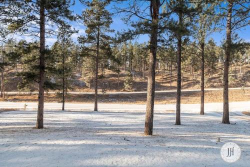 a group of trees standing in the snow at Elk Ridge Fire Place Custer in Custer