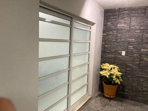 a glass garage door with a potted plant next to it at Depa wifi en corredor de balnearios in Ixmiquilpan