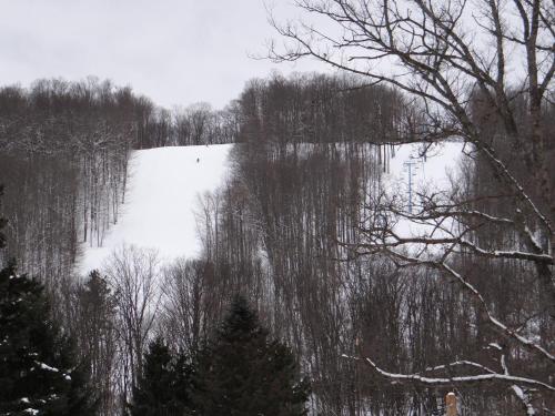 a snow covered hill with trees and a field at Edelweiss Ski Lodge in Ellicottville