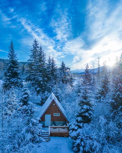 a cabin in a snowy forest with snow covered trees at Glacier Creek Cabins in Seward