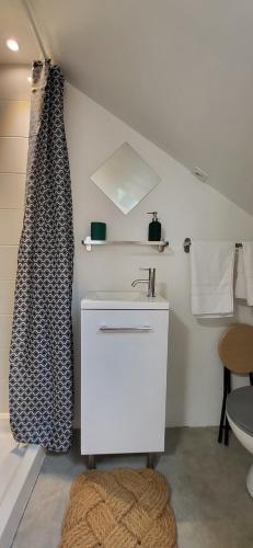 une salle de bain avec un lavabo et un rideau de douche dans l'établissement Chambre - Bed & Breakfast - Plage 50m - Résidence, à Saint-Malo