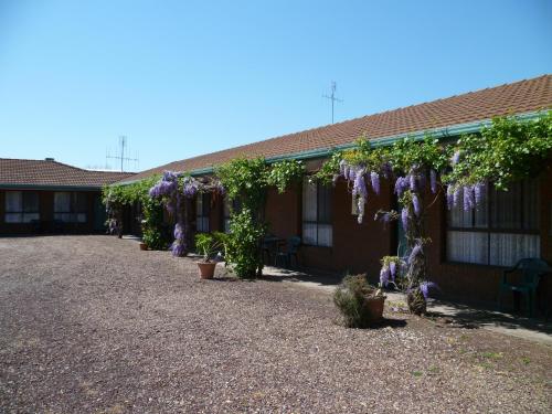 a garden filled with flowers next to a building at Kanimbla Motor Inn in Tocumwal