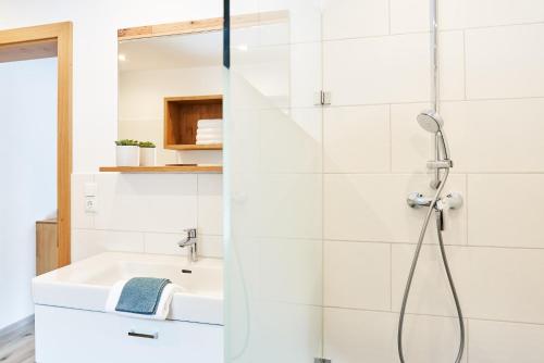 a bathroom with a shower and a sink at Alpenlandhaus Alte Schule in Lermoos