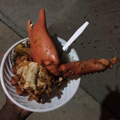 a persons hand holding a plate of food with a friedanimal at Casa-cabaña Jefe Indio /Playa Cacique in Cacique