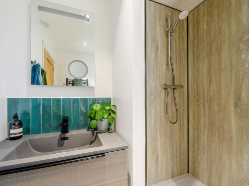 a bathroom with a sink and a shower at Yartleton Farm in Aston Ingham