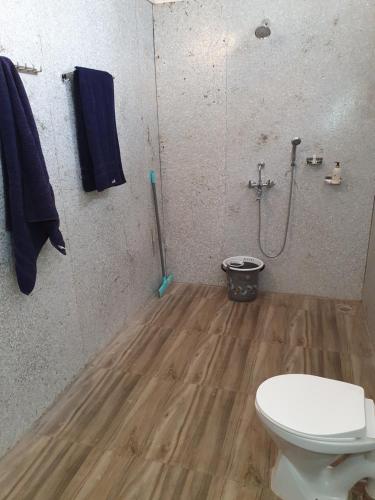 a bathroom with a toilet and a shower at Saxony Beach Huts in Agonda