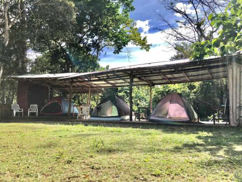 eine Gruppe von Zelten unter einem Pavillon auf einem Feld in der Unterkunft Mount Avangan Eco Adventure Park in Coron