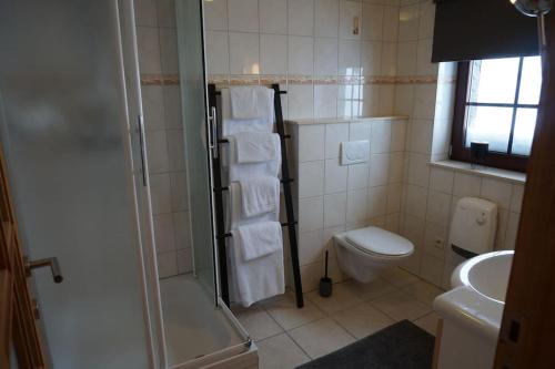 y baño con ducha, aseo y toallas. en Le Walkoti - cosy cottage with 2 bedrooms, en Waimes