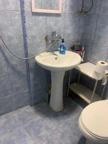 a bathroom with a white sink and a toilet at Leila Apartment in Tbilisi City