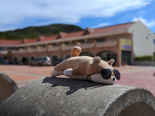 a teddy bear wearing sunglasses is sitting on a wall at Howard Kenting Wonder House in Kenting