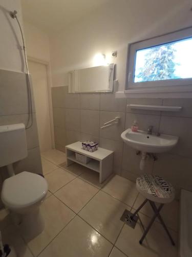 フォニョードにあるMária Villaのトイレと洗面台付きのバスルーム