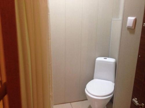 a bathroom with a white toilet and a curtain at Leila Apartment in Tbilisi City