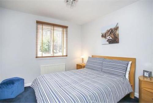 a bedroom with a bed with a blue chair and a window at Immaculate cosy flat next to Holyrood Park! in Edinburgh