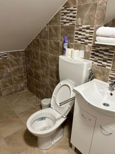a bathroom with a toilet and a sink at Sobe “Stari Grad-Samobor” in Samobor