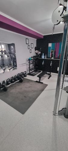 a fitness room with a gym with benches and weights at Triskarla in Mönkebude