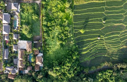 The Alena Resort a Pramana Experience — Bird's eye view