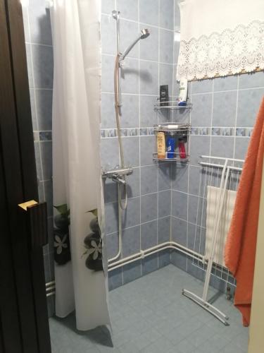 a shower in a blue tiled bathroom with a shower curtain at Rivitalokaksio Jäppilässä in Jäppilä
