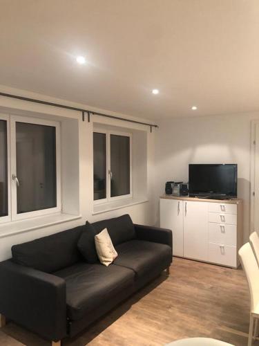 a living room with a black couch and a tv at Apartmenthaus Mountainvista in Kleinarl
