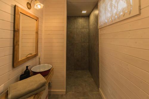 a bathroom with a sink and a toilet and a mirror at Organicle Lodge in Sîncrăieni