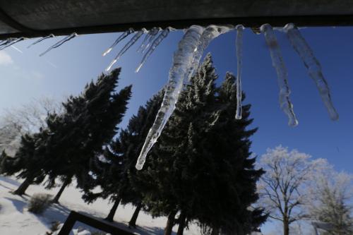 a bunch of icicles hanging from a window with trees at Landhotel Gottinger in Waldkirchen