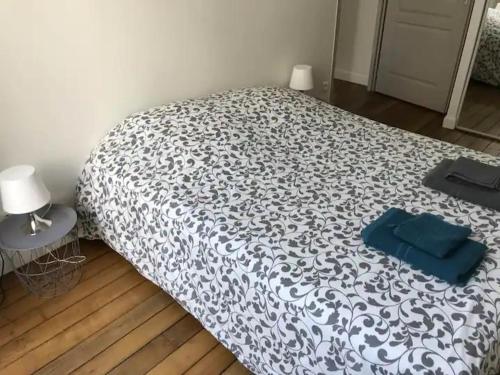 a bedroom with a bed with a black and white comforter at Appartement St-Thomas Zola in Reims