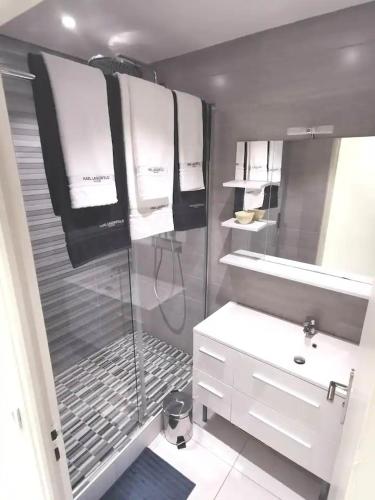 a bathroom with a shower and a toilet and a sink at Appartement St-Thomas Zola in Reims
