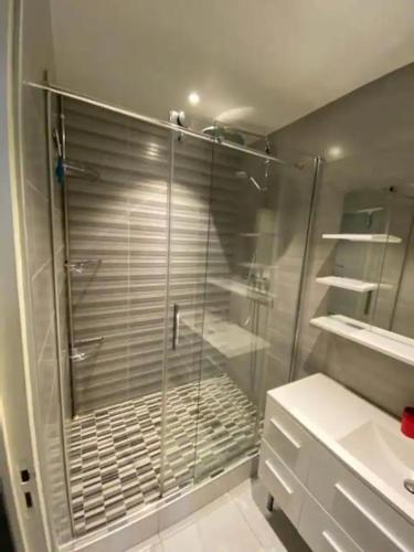 a shower in a bathroom with a glass shower backdoor at Appartement St-Thomas Zola in Reims
