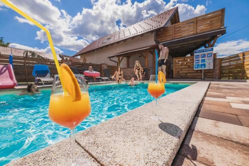 two glasses of orange juice sitting on the edge of a swimming pool at Apartments Galunder in Veržej