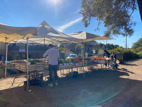 Version Lodge – Photos 2