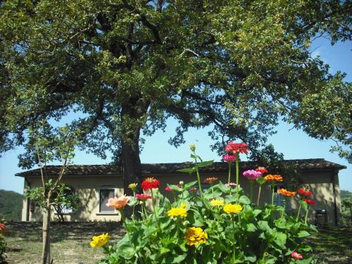 a garden with flowers in front of a house at Agriturismo La Scarpaia in Anghiari