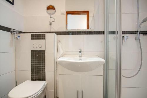 La salle de bains est pourvue d'un lavabo, de toilettes et d'une douche. dans l'établissement Vier-Jahreszeiten-Haus-III-Wohnung-62, à Großenbrode