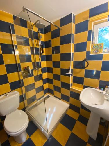 Un baño con ducha, inodoro y lavabo. en Casa Bella, en Dognecea