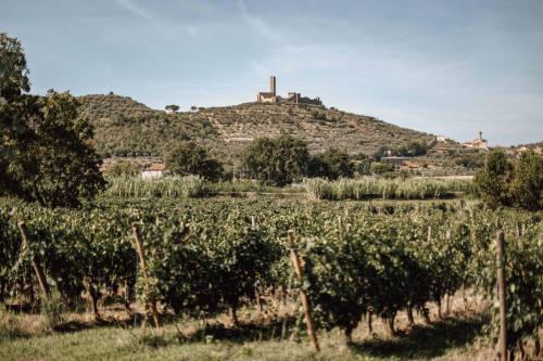a vineyard in front of a hill with a castle on top at Agriturismo LaPievuccia in Castiglion Fiorentino